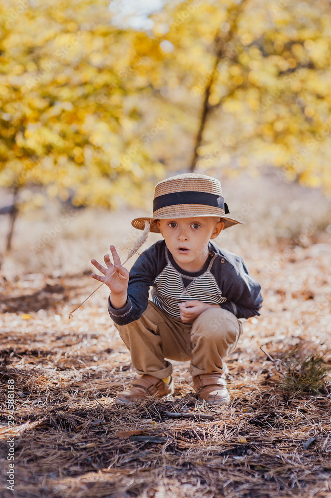 Stylish boy in a hat with a basket. boy in the park in a hat with a basket in autumn Stylish boy in a hat with a basket. boy in the park in a hat with a basket in autumn