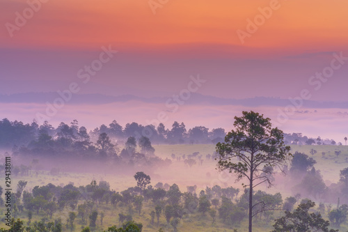 Thungsalanglhong, Petchaboon, Northern of Thailand. September 27, 2019. Best atmosphere in the world.	