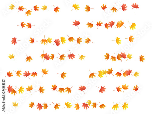 Maple leaves vector background  autumn foliage on white graphic design.