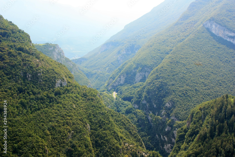 Mountain gorge, overgrown with forest