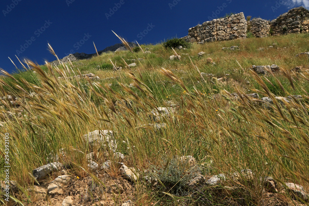 Mycenae, Ruins of Citadel, Argolis, Peloponnese, Greece Mycenae, Ruins of Citadel, Argolis, Peloponnese, Greece