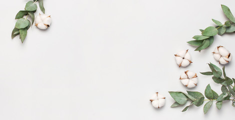 Flat lay flowers composition. Frame made of cotton flowers and fresh eucalyptus twigs on light gray background. Top view, copy space. Delicate white cotton flowers. Floral background, greeting card