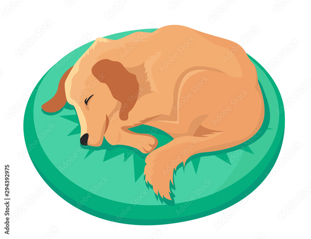 Obraz premium Dog is sleeping on the pillows with numbers 2018