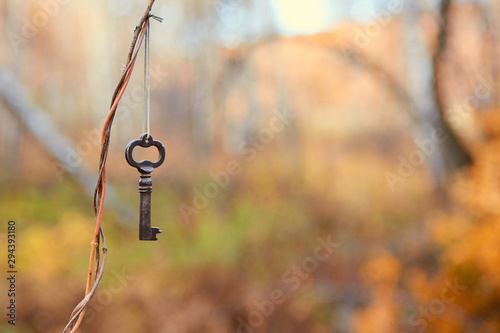 Vintage antique key hanging on a string on the background of autumn nature. Golden autumn season. copy space