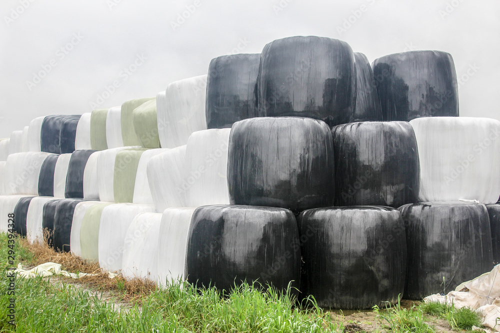 Autumn rainy day. Round silo bales wrapped in a black, white and green membrane and laid like a pyramid. Food for cows in the winter.Podlasie, Poland. Autumn rainy day. Round silo bales wrapped in a black, white and green membrane and laid like a pyramid. Food for cows in the winter.Podlasie, Poland.