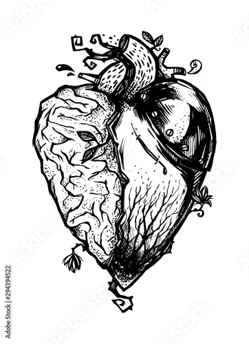 Heart - brain tattoo template. Graphic vector illustration. Monochrome - black and white. Half heart, half brain composition.