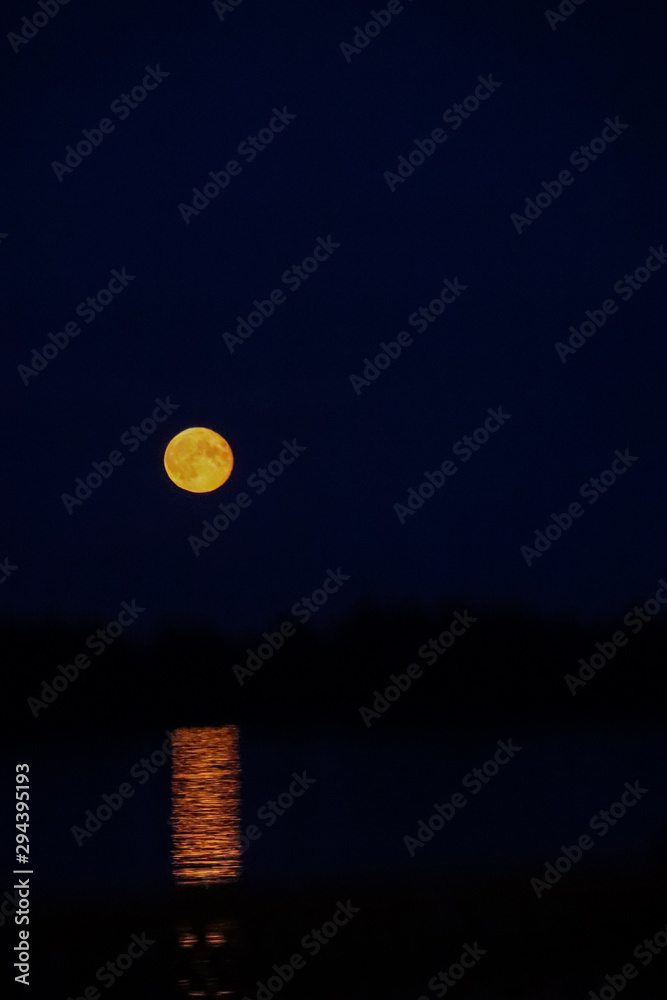 Full moon over the Volga river. Summer night on the arrow of Yaroslavl. Moonlight through the wrought-iron fenceFull moon over the Volga river. Summer night on the arrow of Yaroslavl. Full moon over the Volga river. Summer night on the arrow of Yaroslavl. Moonlight through the wrought-iron fenceFull moon over the Volga river. Summer night on the arrow of Yaroslavl.