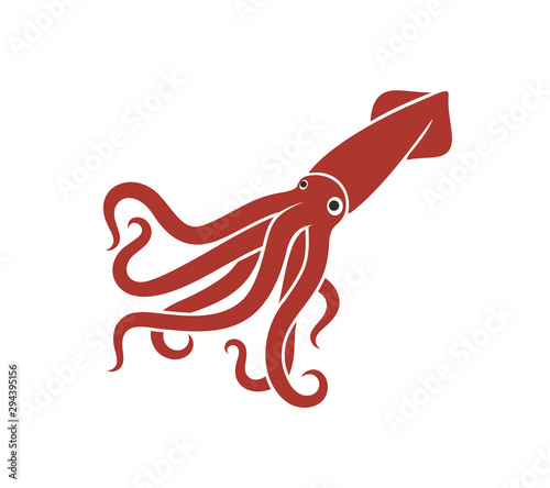 Squid logo. Isolated squid on white background photo
