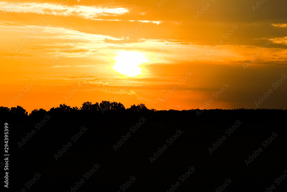 beautiful sunset on nature in the park background