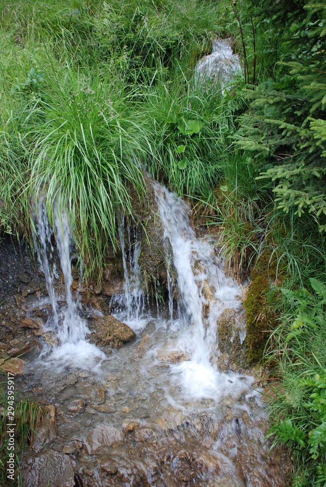 Waterfall in the forest Waterfall in the forest