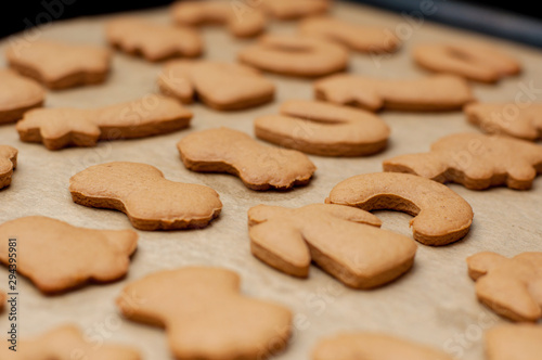 Fresh baked homemade Chritstmas gingerbread cookie on a baking tray. Selective focus