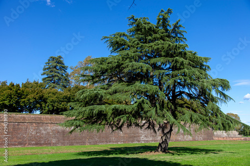 Lucca, le mura storiche e monumentali photo