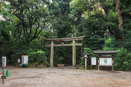 The torii gate to the Meiji Shrine, Tokyo photo