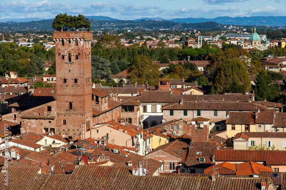 Panorama di Lucca dall'alto, con la Torre Guinigi e i suoi alberi