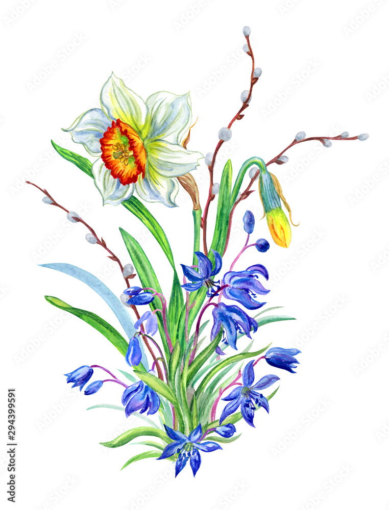 Easter bouquet with daffodils, Scilla and willow branches, watercolor illustration on white background, isolated.