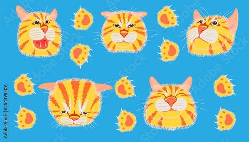 different element cat head funny and cute emotion and footprint. vector illustration eps10