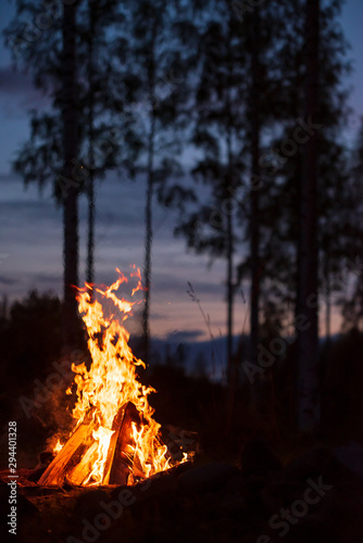 Burning campfire on a dark night in a forest