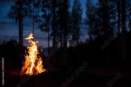 Burning campfire on a dark night in a forest Fototapeta