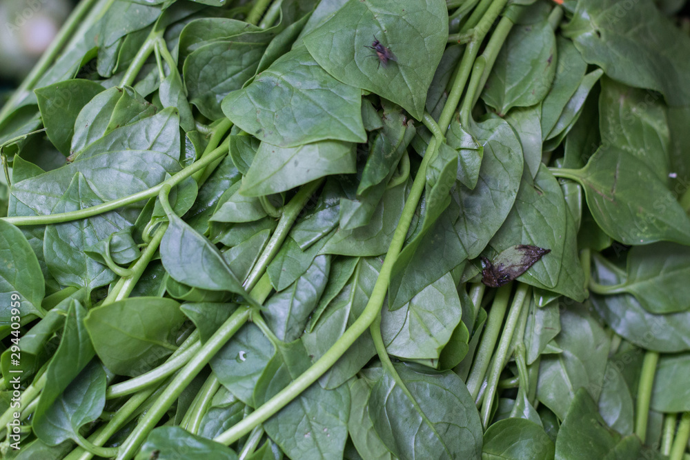 detalle hojas verdes en mercado detalle hojas verdes en mercado