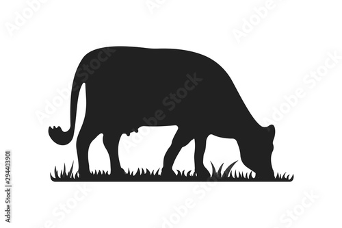 Cow silhouettes on grass. Cow grazing on meadow vector cartoon illustration.