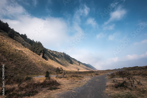 Amazing view of Teletubbies  hill and Savana   Bromo Tengger Semeru National Park East Java Indonesia.