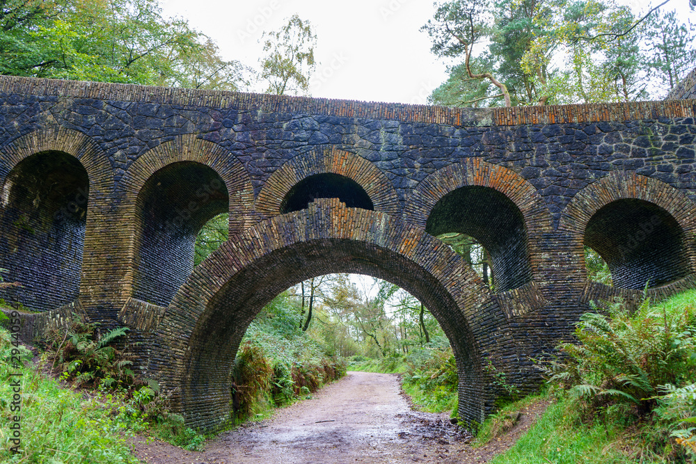 Fototapeta premium old stone bridge in garden