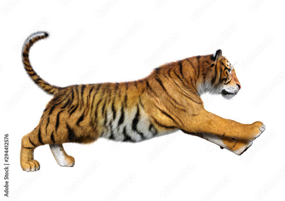 Obraz premium 3D Rendering Big Cat Tiger on White
