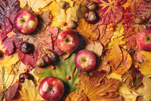 Variety of red and yellow autumn leaves with apples and nuts over white marble background. Flat lay. Fall creative background.