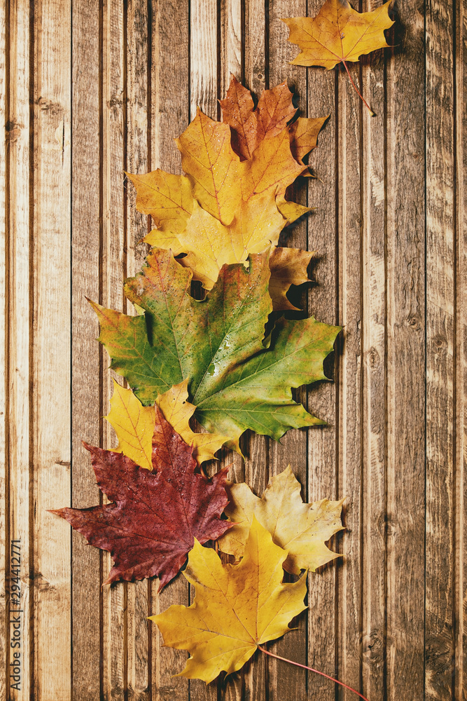 Autumn maple leaves over wooden plank background. Flat lay. Fall creative background. Autumn maple leaves over wooden plank background. Flat lay. Fall creative background.
