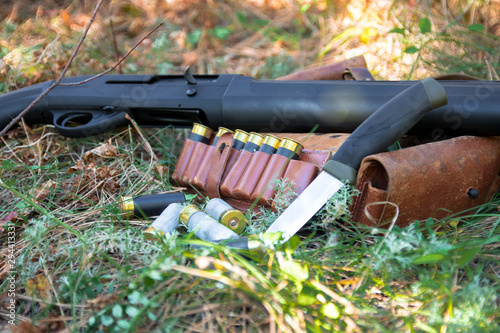 Shotgun, cartridges and vintage bandolier on grass in the autumn forest, close-up