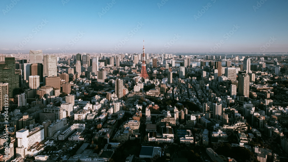 Aerial view of Tokyo city view with Tokyo tower
