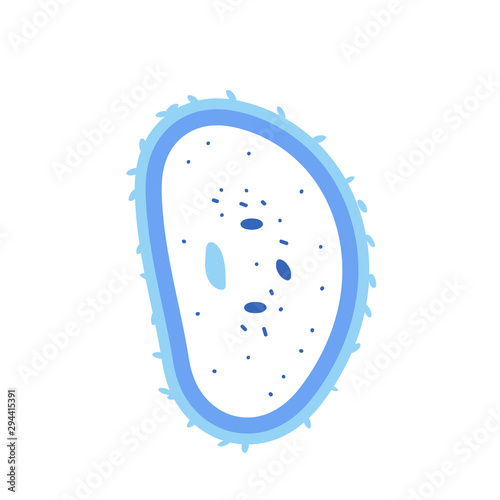 Bacterias cell Vector illustartion in doodle style