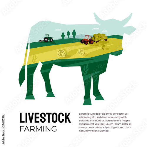 Vector illustration of livestock farming, agricultural company. Cow silhouette with landscape inside. Poster of agriculture with tractor, hayfield, haystack rolls, farmland. Template for banner, flyer