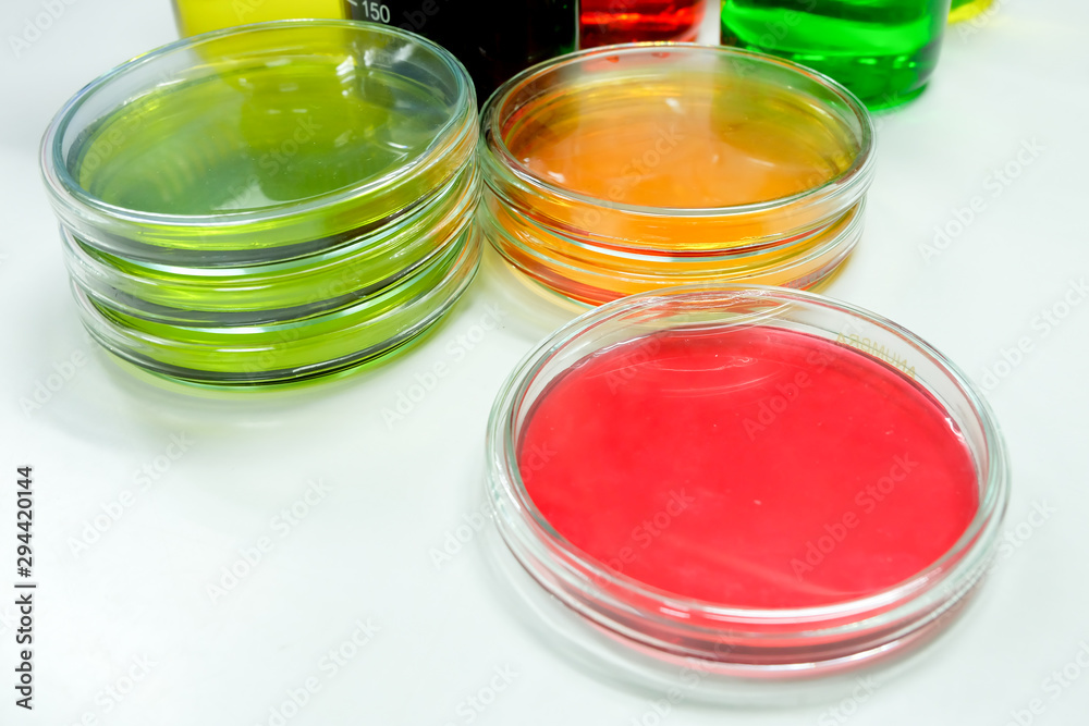 petridish in laboratory petridish in laboratory