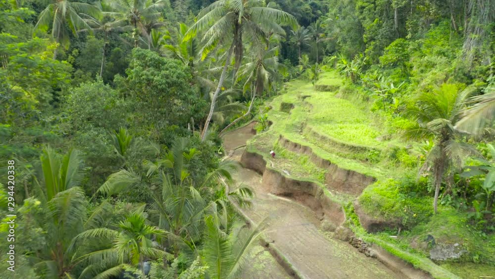 aerial view of farmer planting, ascending backward shot aerial view of farmer planting, ascending backward shot