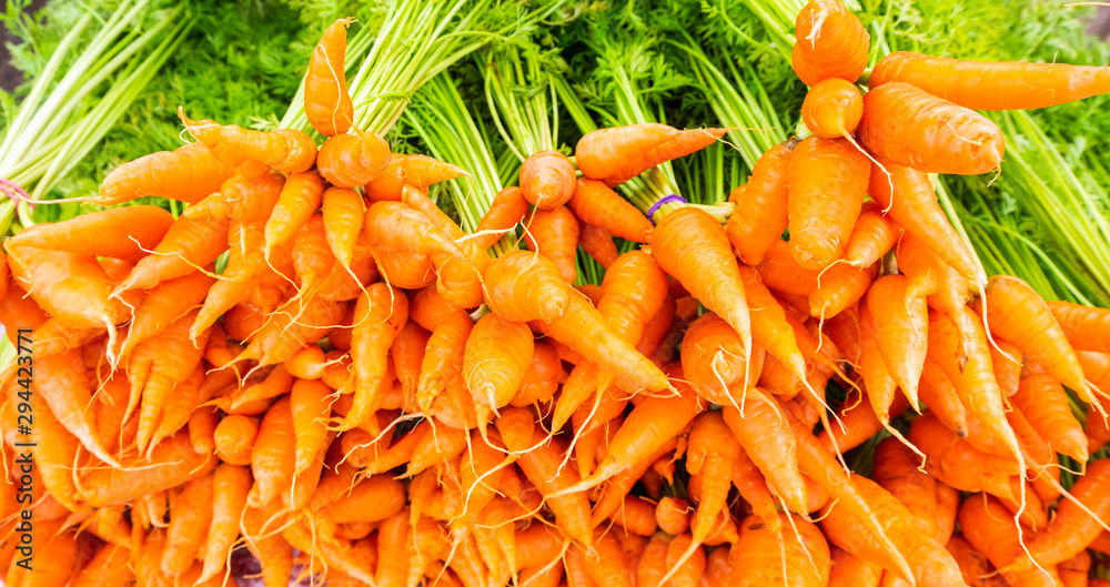 Beautiful of bunch fresh ripe orange carrots with green, a pile of market organic. vegetable healthy eating good for health. Beautiful of bunch fresh ripe orange carrots with green, a pile of market organic. vegetable healthy eating good for health.