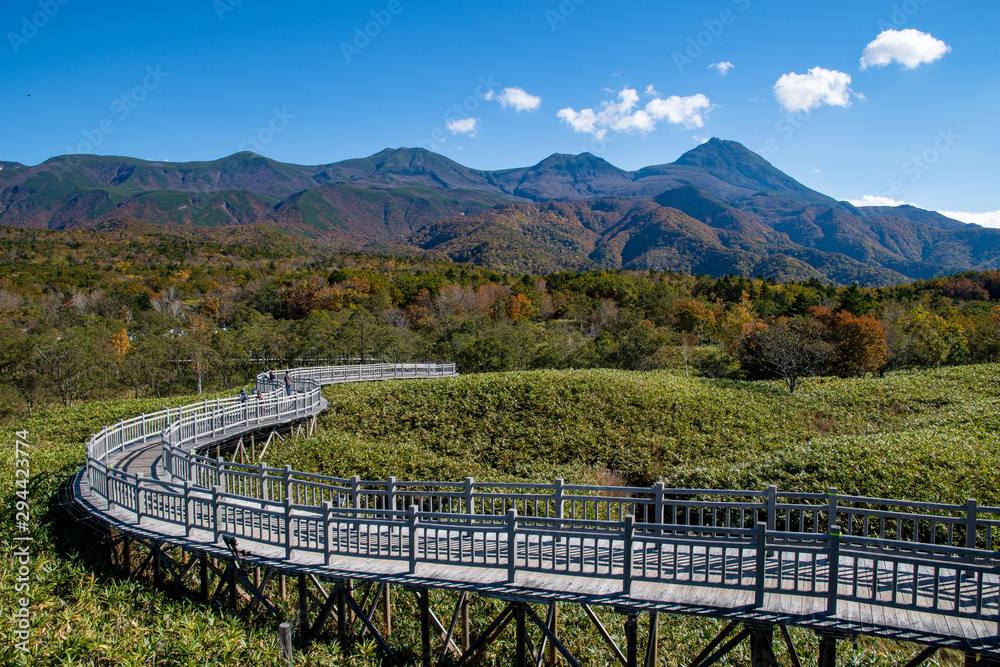Fototapeta premium 秋の知床 知床五湖の高架木道（遊歩道）と知床連山（北海道・斜里町）