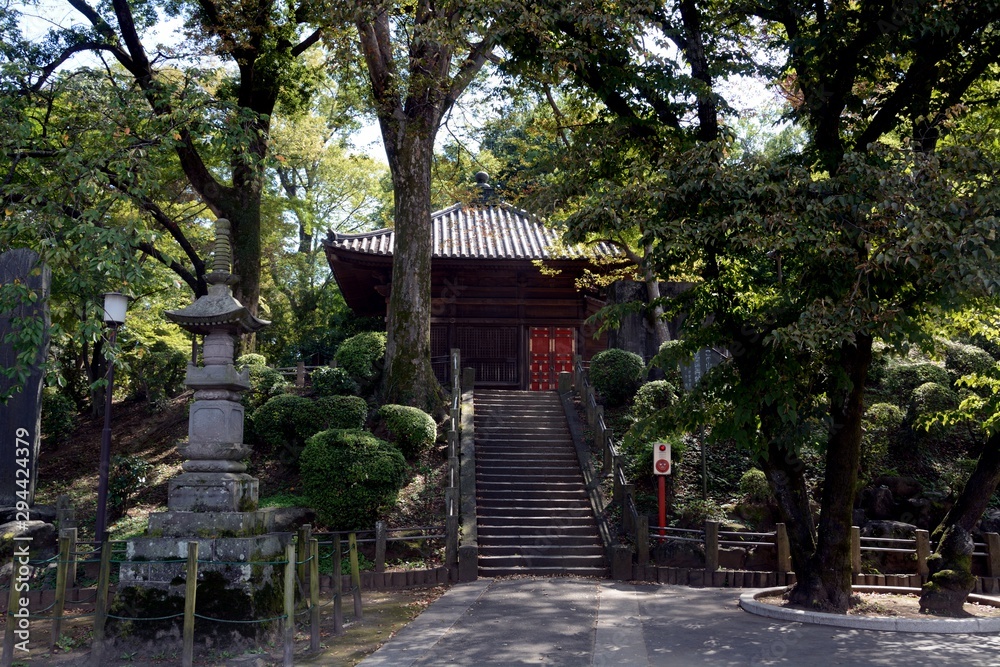 Obraz premium Kita-in Buddhist temple, Kawagoe, Japan