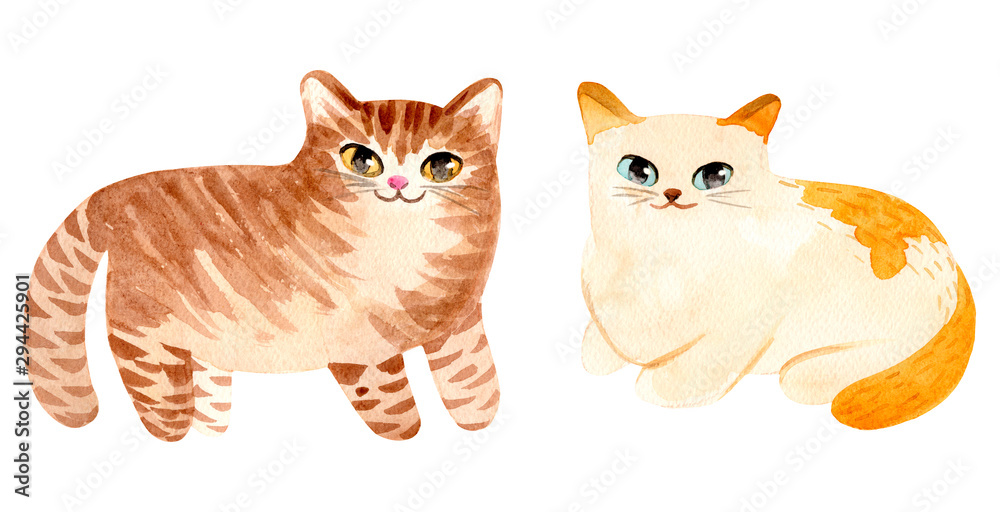 Watercolor cute cat. Hand painted Illustration isolated on white background.