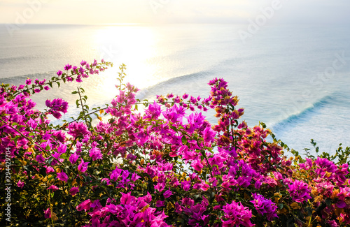 Fototapeta Naklejka Na Ścianę i Meble -  Seascape, ocean at sunset. Flowers on ocean landscape background near Uluwatu temple at sunset, Bali, Indonesia. Bougainvillea flowers at the foreground.