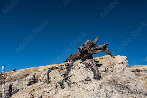 landscape deep blue sky and root on sand of mountain