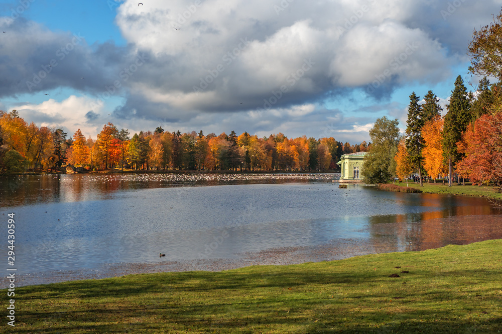Fototapeta premium Bright autumn landscape with a lake in the Park. Gatchina. Russia.
