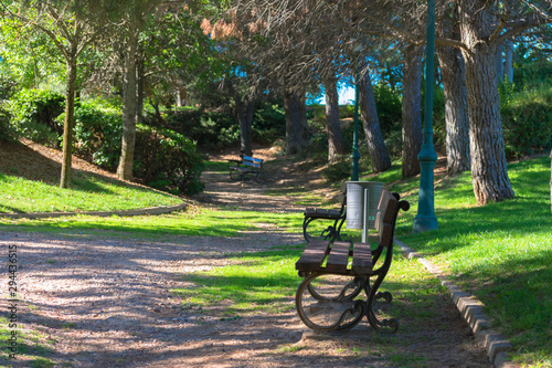 path in the park with empty benches