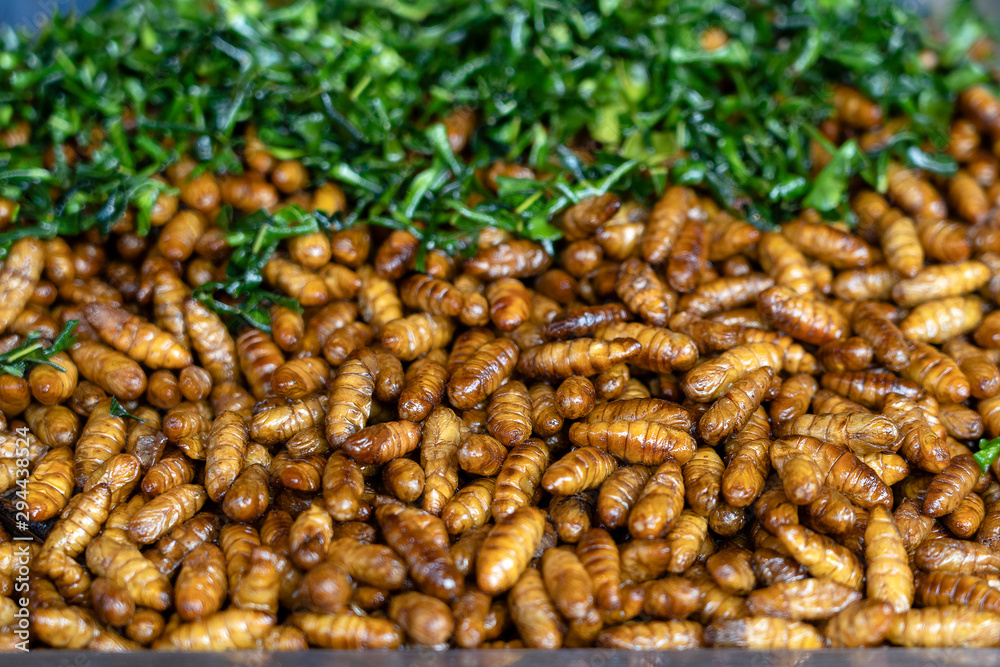 Fried silk worms delicious in street food in Thailand. Close up