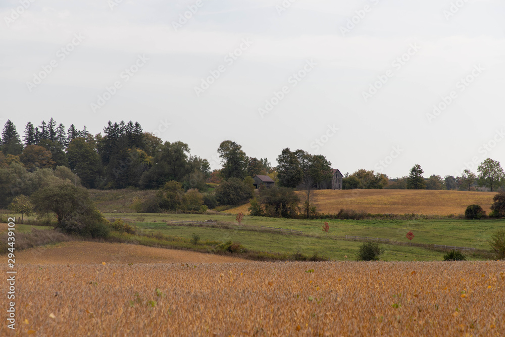 rural landscape of farmers fields