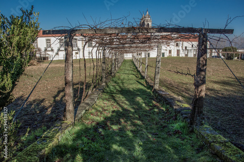 Grapevines In January, Tibaes Monastery, Portugal