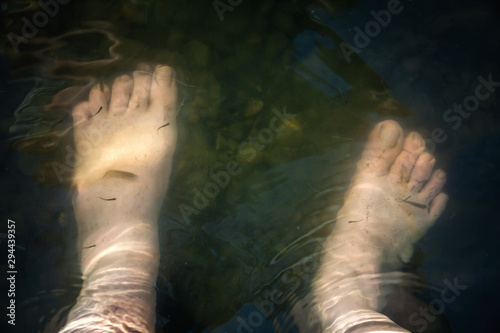 human feet in the water. fish swim around the legs and clean the skin. rocks and silt at the bottom of the river