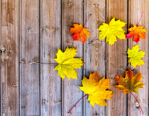 Autumn composition with maple leaves on wooden background, fall concept, copy...