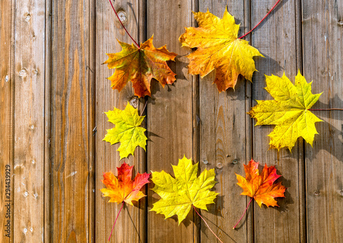 Autumn composition with maple leaves on wooden background, fall concept, copy...