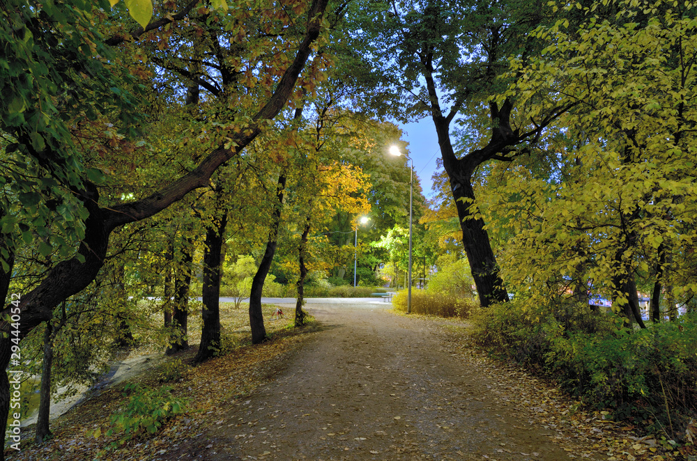 Naklejka premium Autumn landscape in the Park.